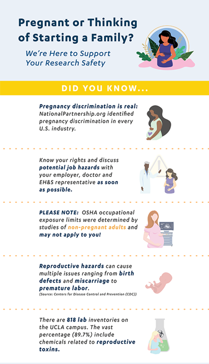 Pregnant Worker infographic