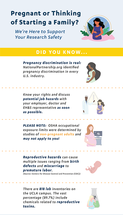 Research Safety for Pregnant Workers