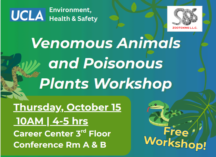 Workshop title on green background with snakes