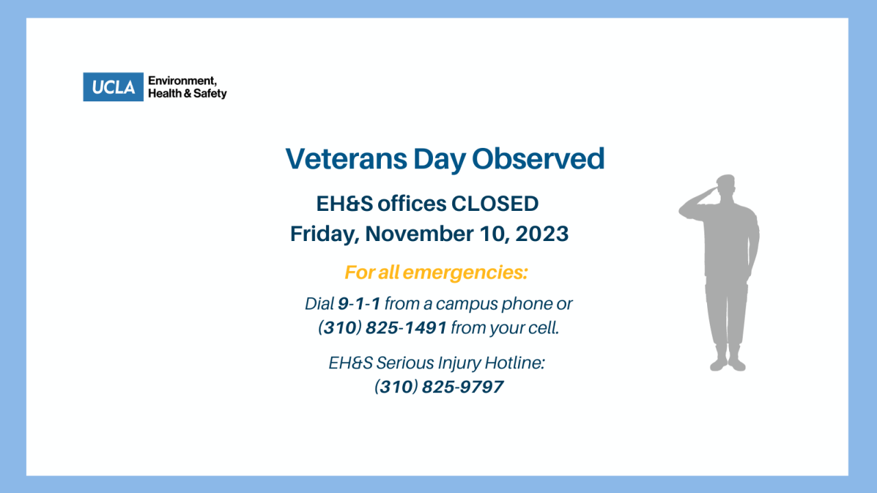 2022 VETS DAY TWITTER (1).png