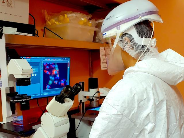 Researcher performing computer tasks.