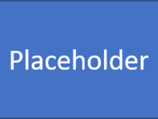 Placeholder