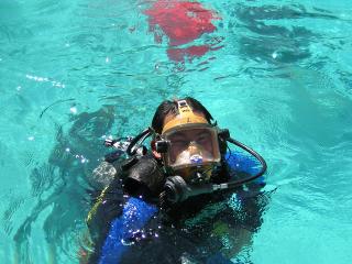 UCLA Diver