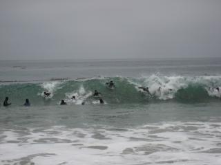 Divers in the surf